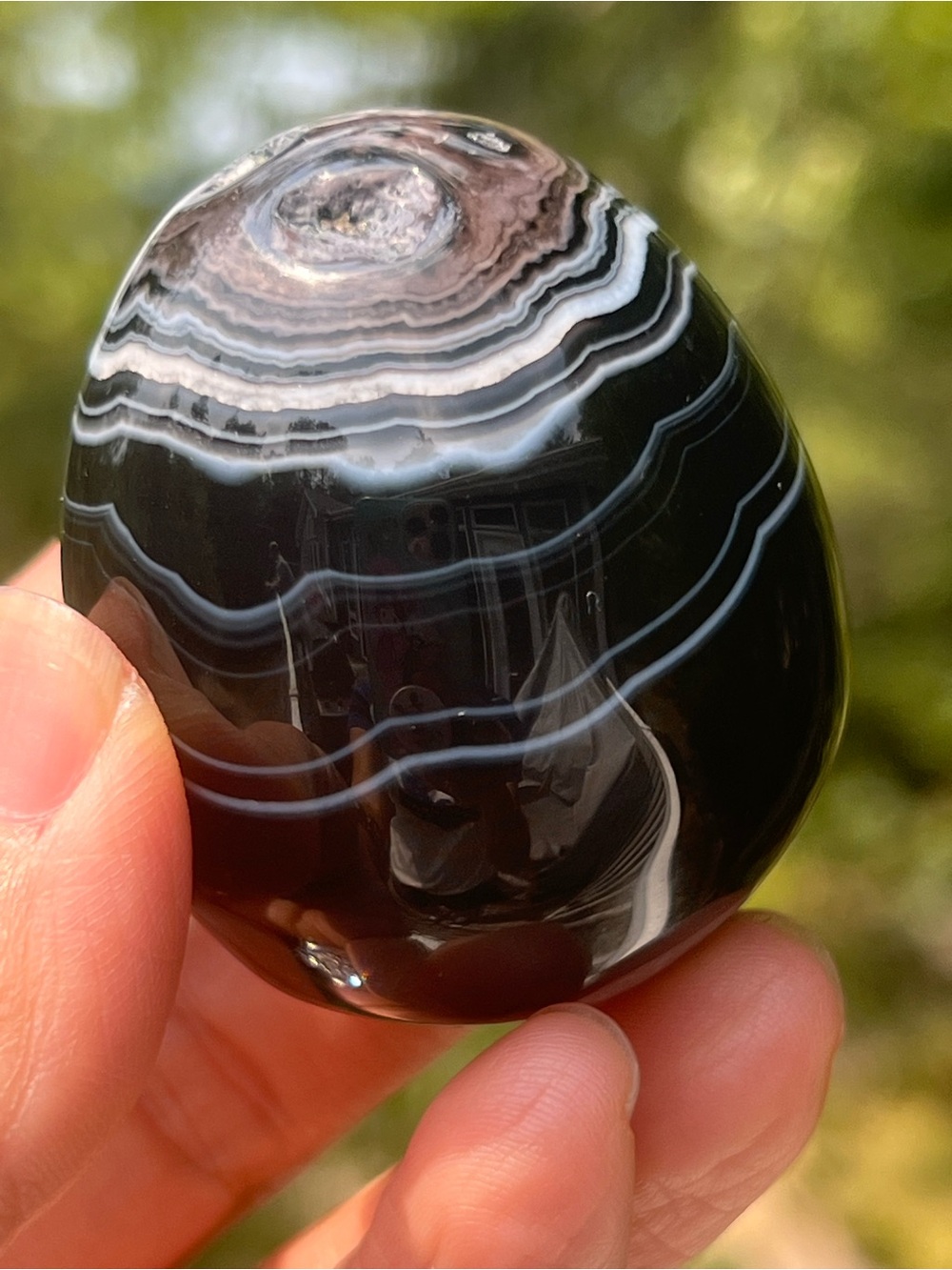 Black (4) lace agate egg with stand | crystal
